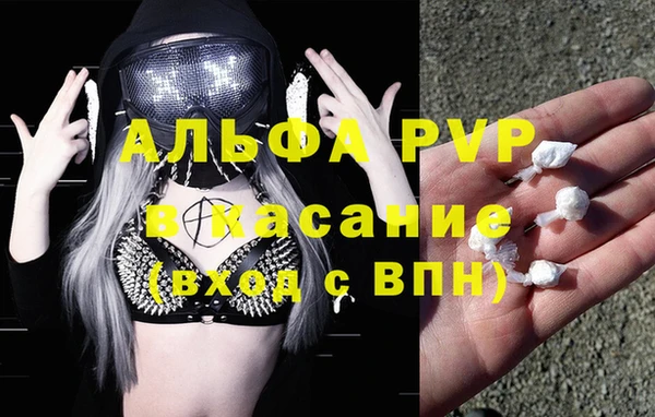 ГАЛЛЮЦИНОГЕННЫЕ ГРИБЫ Медвежьегорск