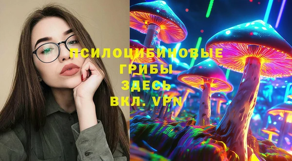 ГАЛЛЮЦИНОГЕННЫЕ ГРИБЫ Медвежьегорск