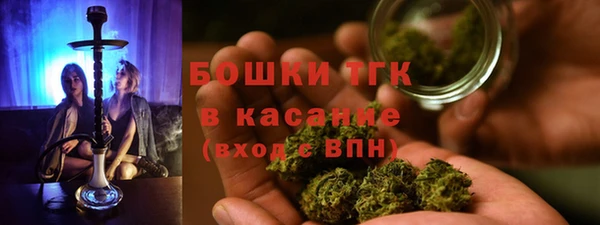 мдпв Мегион