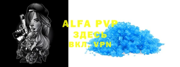гидра Бердск