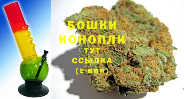мдпв Мегион