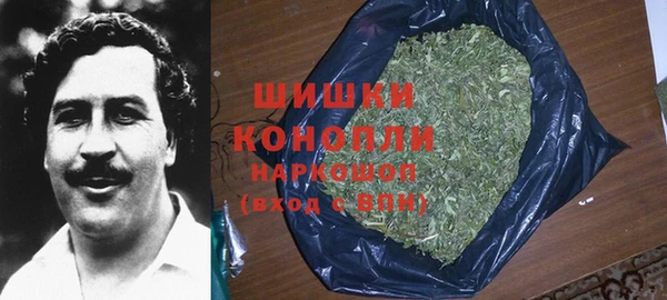 мдпв Мегион