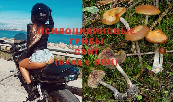 мдпв Мегион