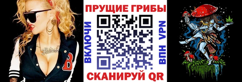 гидра сайт  как найти наркотики  Оренбург  Псилоцибиновые грибы MAGIC MUSHROOMS 