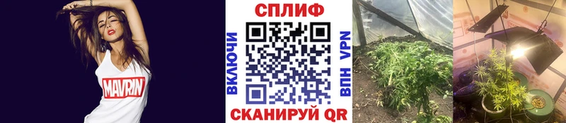 Каннабис Bruce Banner  Оренбург 